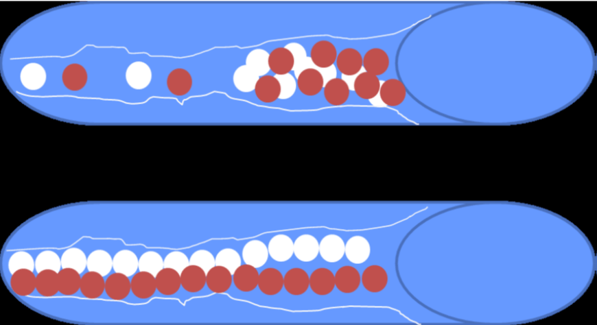 article icon