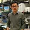 Ning Zhang 